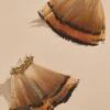 Falling Feathers Earrings -Versona Shop 137817 859 l