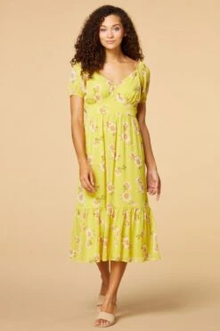 In The Limelight Dress