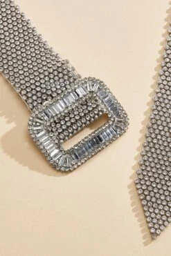 Flash Stud Belt -Versona Shop 45364965 2